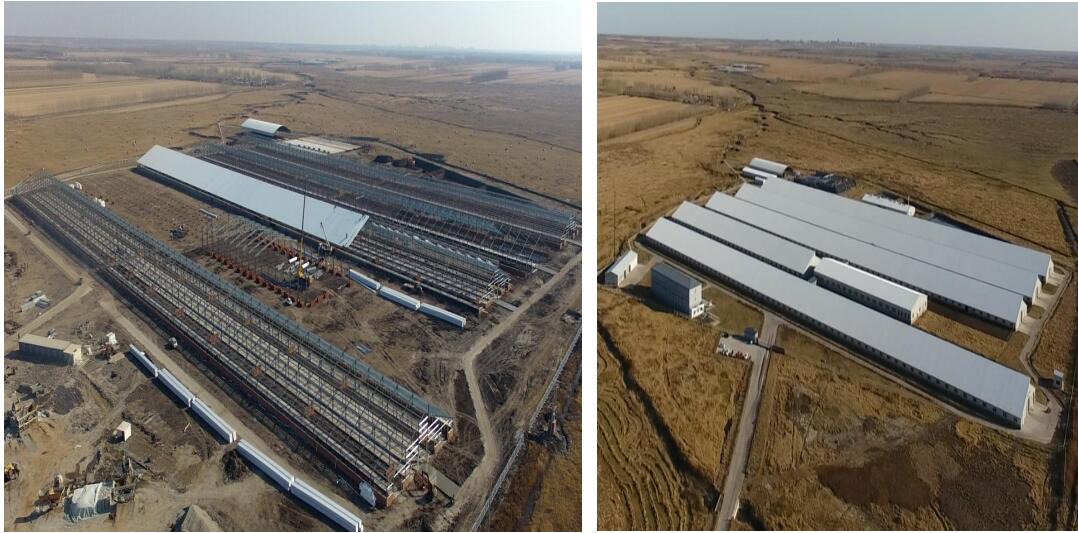 6008集团官方网站(中国)股份有限公司