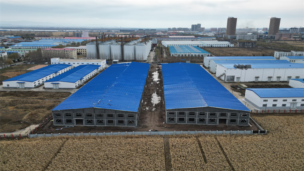 6008集团官方网站(中国)股份有限公司